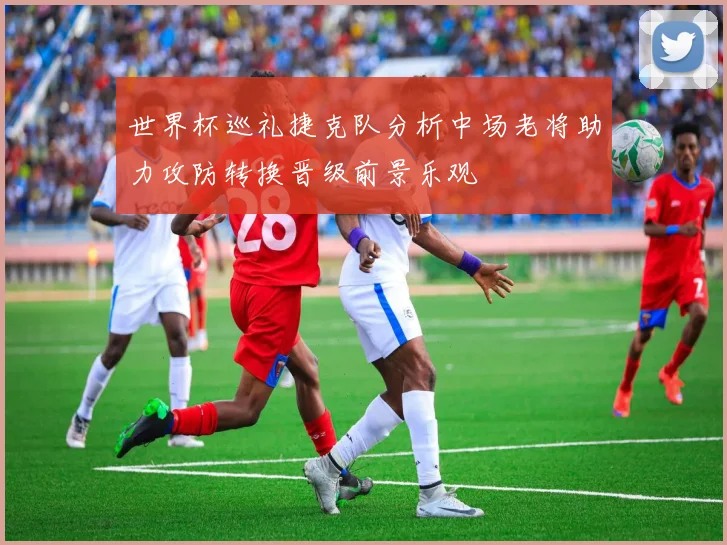 世界杯巡礼捷克队分析中场老将助力攻防转换晋级前景乐观