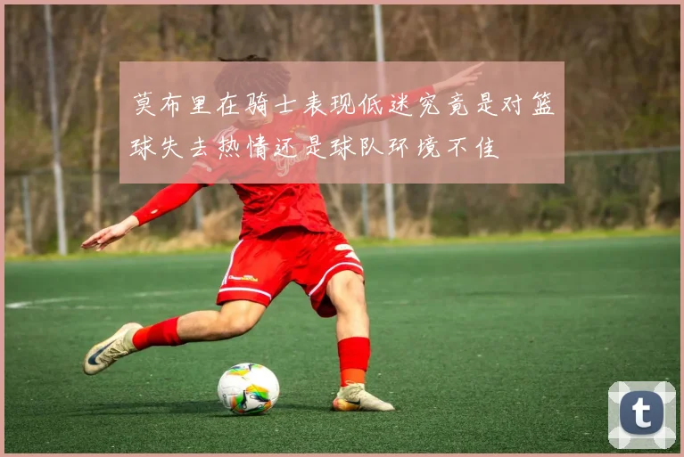 莫布里在骑士表现低迷究竟是对篮球失去热情还是球队环境不佳