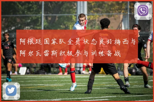 阿根廷国家队全员状态良好梅西与阿尔瓦雷斯积极参与训练备战